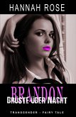 Brandon - Brüste über Nacht (eBook, ePUB)