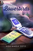 Bowerbirds (Nested Hearts, #2) (eBook, ePUB) Bowerbirds (Nested Hearts, #2) (eBook, ePUB)