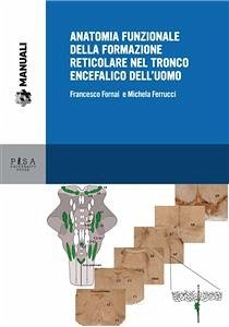 Cover Anatomia funzionale della formazione reticolare nel tronco encefalico dell'uomo (eBook, PDF)