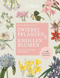 Zwiebelpflanzen & Knollenblumen - Wilford, Richard