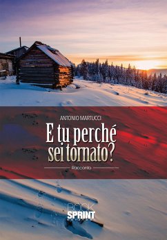 Cover E tu perché sei tornato? (eBook, ePUB)