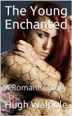 The Young Enchanted / A Romantic Story (eBook, PDF)