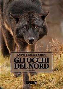 Gli occhi del Nord (eBook, ePUB) - Emanuela Corsini, Andrea