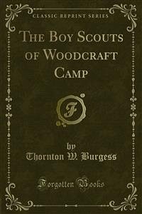 The Boy Scouts of Woodcraft Camp (eBook, PDF)
