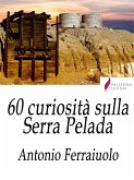60 curiosità sulla Serra Pelada (eBook, ePUB)