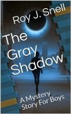 The Gray Shadow / A Mystery Story For Boys (eBook, PDF)