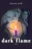 Dark Flame (eBook, ePUB)