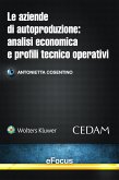 Le aziende di autoproduzione: analisi economica e profili tecnico-operativi (eBook, ePUB)