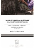 Ambiente y pueblos indígenas (eBook, PDF)