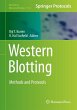 Western Blotting (eBook, PDF) - Bild 1