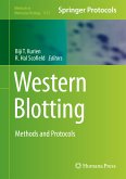 Western Blotting (eBook, PDF)