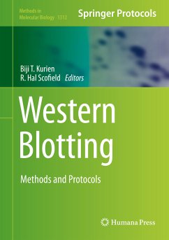 Western Blotting (eBook, PDF)