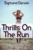 Thrills On The Run: Taboo Erotica (eBook, ePUB)