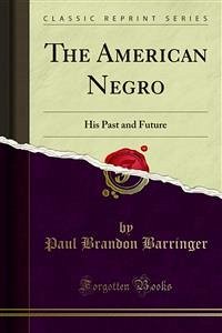 The American Negro (eBook, PDF)