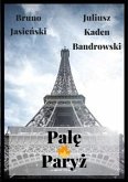 Palę Paryż (eBook, ePUB)