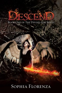 Cover Descend (eBook, ePUB)