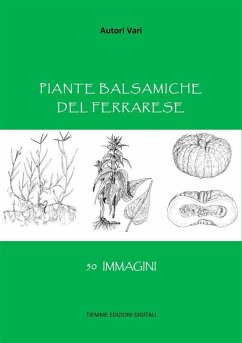 Piante balsamiche del Ferrarese (eBook, ePUB) - Vari, Autori