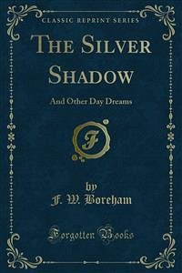 The Silver Shadow (eBook, PDF)