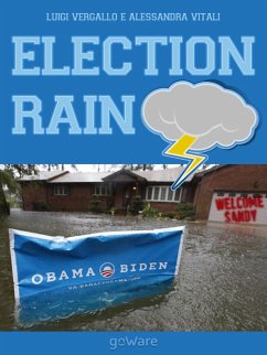 Election Rain. Reportage in foto e musica del passaggio dell’uragano Sandy (eBook, ePUB) - Vergallo & Alessandra Vitali, Luigi