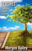 Flashes ~ Shorter Short Stories (Morgen Bailey's Short Story Collections) (eBook, ePUB)