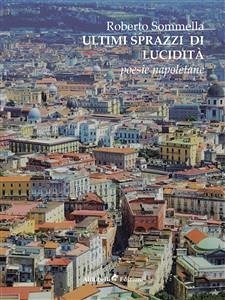 Ultimi sprazzi di lucidità (eBook, ePUB) - Sommella, Roberto