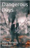 Dangerous Days (eBook, PDF)