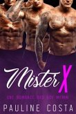 Mister X - Livre 2 (eBook, ePUB)