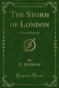 The Storm of London (eBook, PDF) - Dickberry, F.