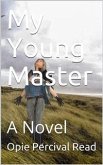 My Young Master (eBook, PDF)