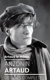 Artaud le Mômo (eBook, ePUB)