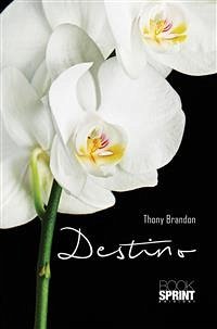 Destino (eBook, ePUB) - Brandon, Thony