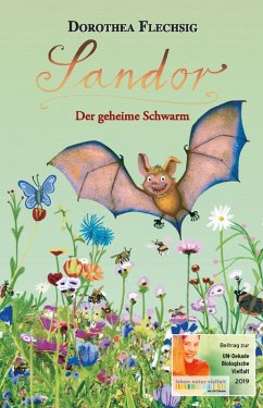 Sandor Der geheime Schwarm (eBook, ePUB) - Flechsig, Dorothea