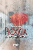 Pioggia - Un dinamico attrito (eBook, ePUB)