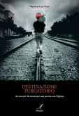 Destinazione purgatorio (eBook, ePUB)