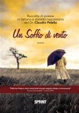 Un soffio di vento (eBook, ePUB)