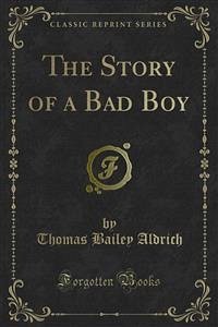 The Story of a Bad Boy (eBook, PDF)