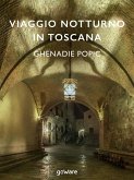 Viaggio notturno in Toscana (eBook, ePUB)