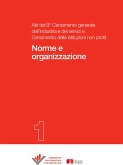 Norme e organizzazione (eBook, PDF)