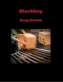 Stockboy (eBook, ePUB)