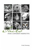 Tails from a Different Perspective (eBook, ePUB)