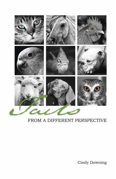 Tails from a Different Perspective (eBook, ePUB)