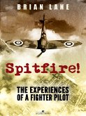 Spitfire! (eBook, ePUB)