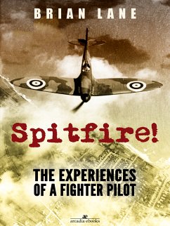 Spitfire! (eBook, ePUB) - Lane, Brian