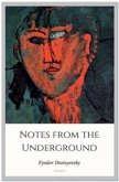 Notes from the Underground (eBook, ePUB)