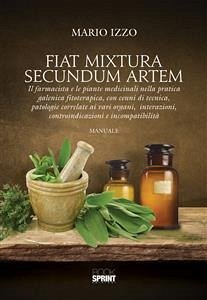 Fiat Mixtura Secundum Artem (eBook, PDF) - Izzo, Mario