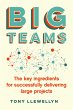 Big Teams (eBook, ePUB) - Bild 1