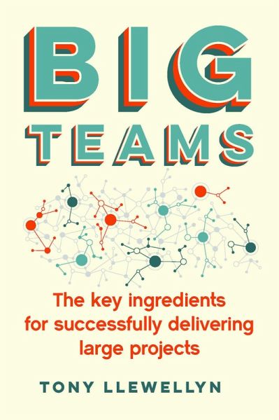 Big Teams (eBook, ePUB)
