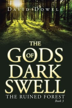 Cover The Gods of Dark Swell (eBook, ePUB)
