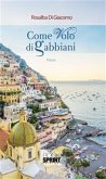 Come volo di gabbiani (eBook, ePUB)