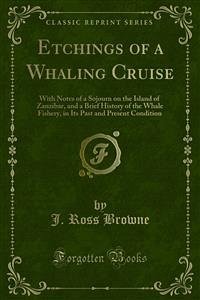 Etchings of a Whaling Cruise (eBook, PDF) - Ross Browne, J.